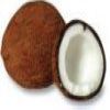 Coconut Lip Balm