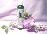 shampoo for dry, damaged hair