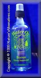 boron and bone growth